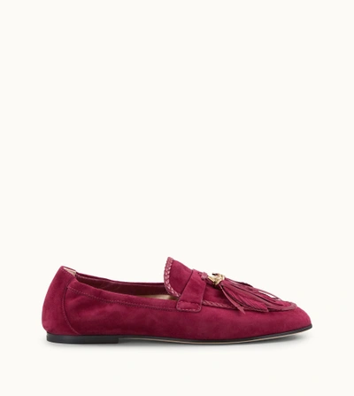 Tod's Loafers In Suede In Burgundy