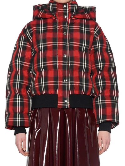Msgm Checked Puffer Jacket In Black/red