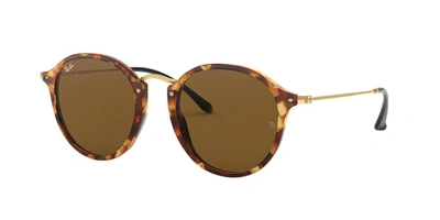 Ray Ban Ray In Brown Classic B-15
