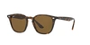 Ray Ban Ray In Dark Brown Classic B-15