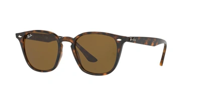 Ray Ban Ray In Dark Brown Classic B-15