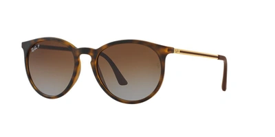 Ray Ban Ray In Polarized Brown Gradient