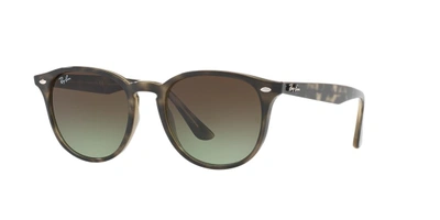 RAY BAN RAY,8053672790405