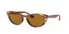 Ray Ban Nina Tortoiseshell G-15 Cat-eye Sunglasses In Brown Classic B-15