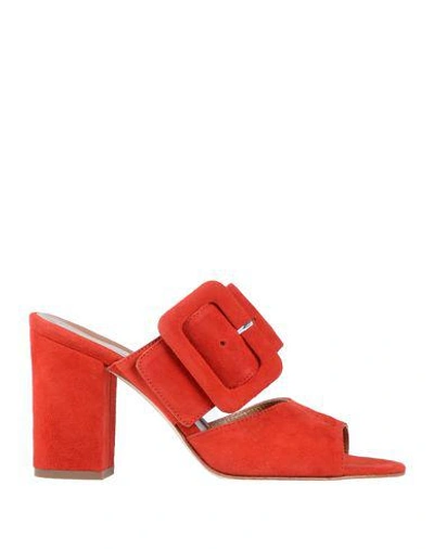 Paris Texas Suede Mule In Red