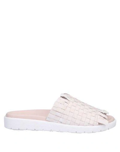 Tosca Blu Sandals In White