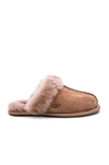 UGG SCUFFETTE II SLIPPER