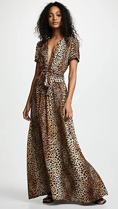 Melissa Odabash Lou Cheetah-print Belted Short-sleeve Maxi Dress In Animal