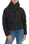BACON CLOTHING SHORT DOWN JACKET WITH HOOD,10745405