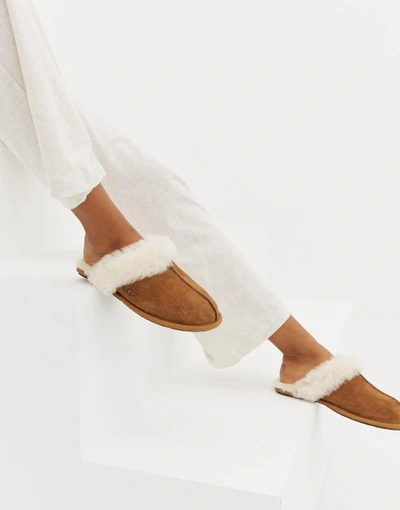 Ugg Scuffette Ii Slippers With Wool Lining Shoes In Brown