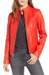 COLE HAAN COLE HAAN LEATHER MOTO JACKET,356P2185