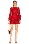 ALEXIS ALEXIS FRANSISCA LACE DRESS IN SCARLET LACE,ALXF-WD153