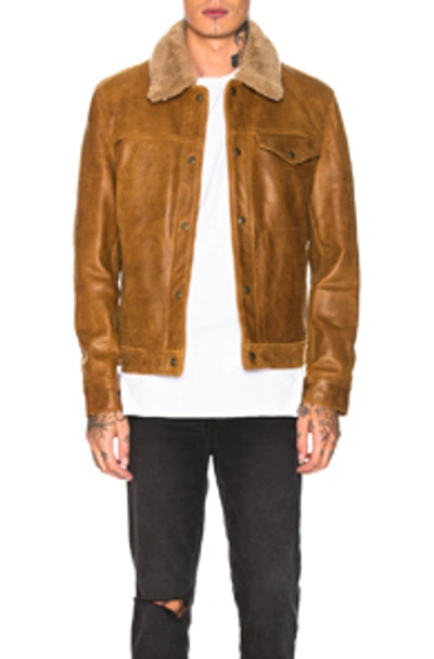 Schott Waxy Vintage Buffalo Trucker In Sycamore