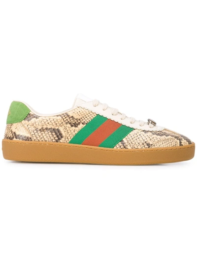 Gucci G74 Python Sneaker With Web In Multicolour