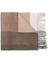 Begg & Co Fringed Edge Scarf - Neutrals In Neutrals