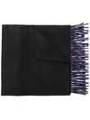 Begg & Co Fringed Edge Scarf - Black In Black