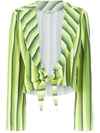 Amir Slama Striped Cropped Top In Green