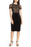 Tadashi Shoji Lace & Velvet Short-sleeve Dress In Black/nude