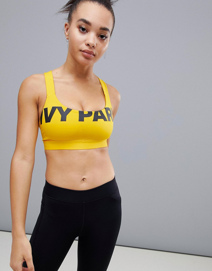 ivy park sports bra size guide