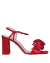 ALBERTO GOZZI Sandals,11588129PC 13