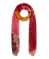 HETI'S COLOURS Sissy Silk Scarf