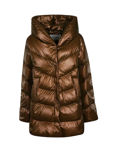 Violanti Button-up Padded Jacket In Brown