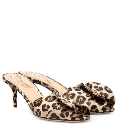 Charlotte Olympia Leopard Print Mules - 棕色 In Brown