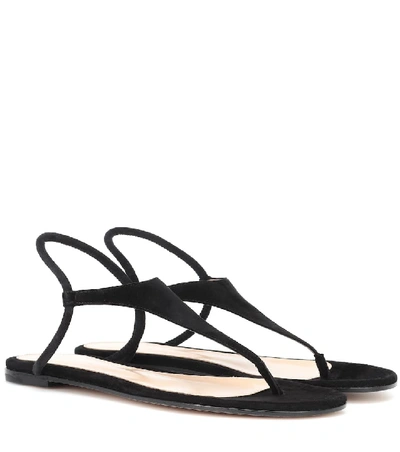 Gianvito Rossi Anya Suede Thong Sandals In Black