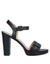 ANTONIO BARBATO Sandals,11603696OW 13