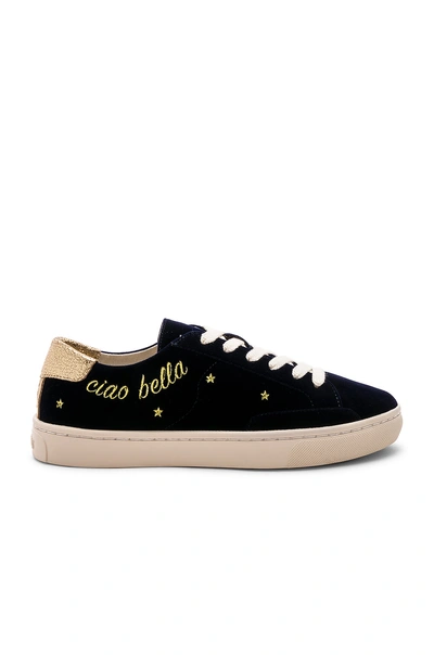 Soludos Ciao Bella Ibiza Embroidered Trainer In Navy