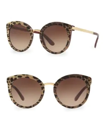 Dolce & Gabbana Dg4268 Leopard 52mm Cat Eye Sunglasses In Bordeaux Leo