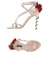 Dolce & Gabbana Sandals In Light Pink