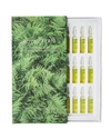Royal Fern 15 X 0.06 Oz. Anti Oxidative Ampoules