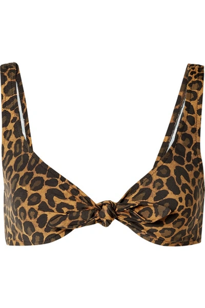 Fisch Lurin Knotted Leopard-print Bikini Top In Leopard Print
