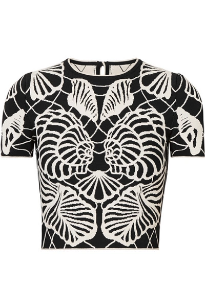 Alexander Mcqueen Cropped Jacquard-knit Top In Black/ivory