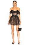 AADNEVIK LACE MINI DRESS,AADF-WD6