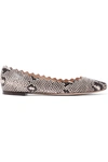 CHLOÉ LAUREN SCALLOPED SNAKE-EFFECT LEATHER BALLET FLATS