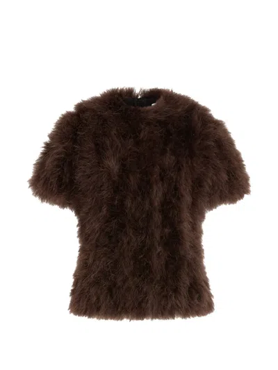 16arlington Fara Top In Brown