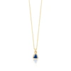 EDGE OF EMBER BLUE SAPPHIRE CHARM NECKLACE,2877211