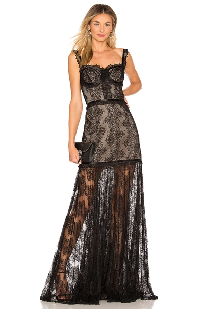 Alexis Kieran Lace Bustier Cocktail Dress In Black Lace