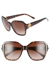 TORY BURCH REVA 56MM SQUARE SUNGLASSES - DARK TORTOISE GRADIENT,TY712556-Y