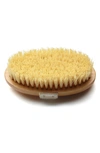 ELEMIS SKIN BRUSH,1008051