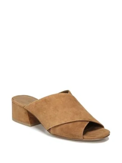 Vince Karsen Suede Sandals In Cedar