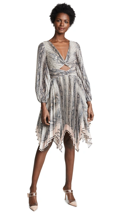 Zimmermann Corsage Python-print Chiffon Dress