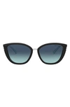 TIFFANY & CO TIFFANY-T 55MM SUNGLASSES,TF415255-YZ