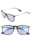 Ray Ban Youngster 54mm Square Keyhole Sunglasses - Havana/ Gold/ Blue Solid In Havana/ Gold/ Blue Solid