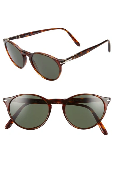 Persol 50mm Round Sunglasses In Havana/ Green Solid