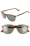 Persol 55mm Square Sunglasses In Havana/ Green Solid