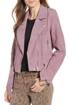 Blanknyc Suede Moto Jacket In Lilac