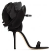 GIUSEPPE ZANOTTI PEONY,E90004500117